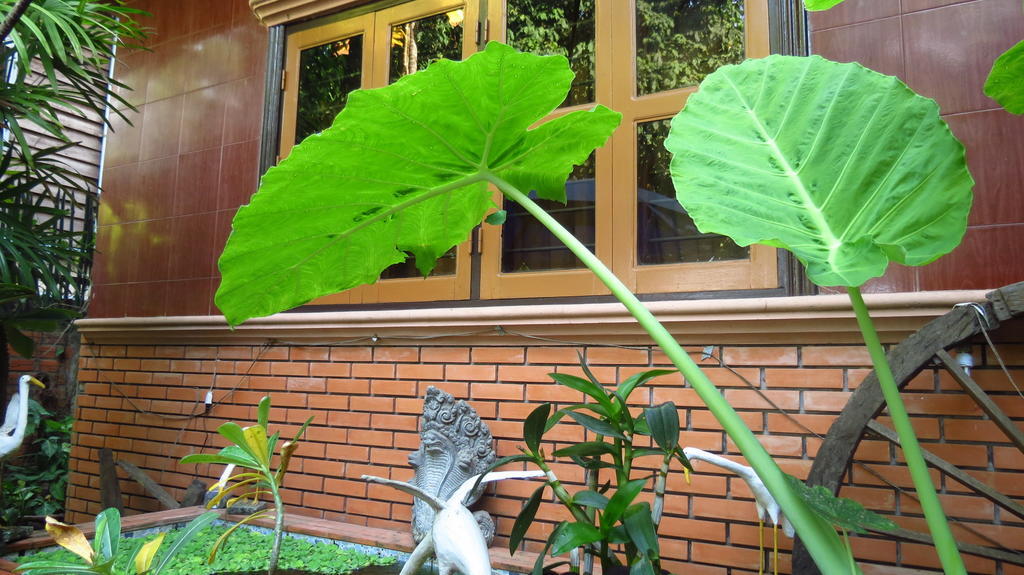 Big Lyna Villa Siem Reap Eksteriør billede